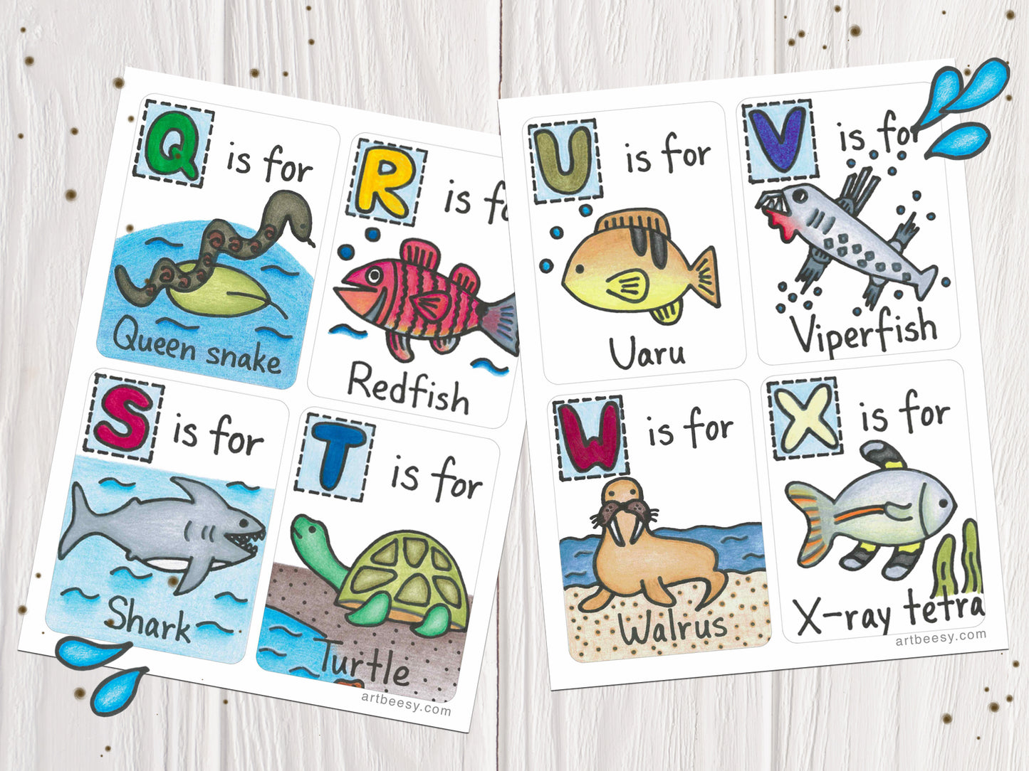 ABC Animals Can Swim Flashcards Q-X