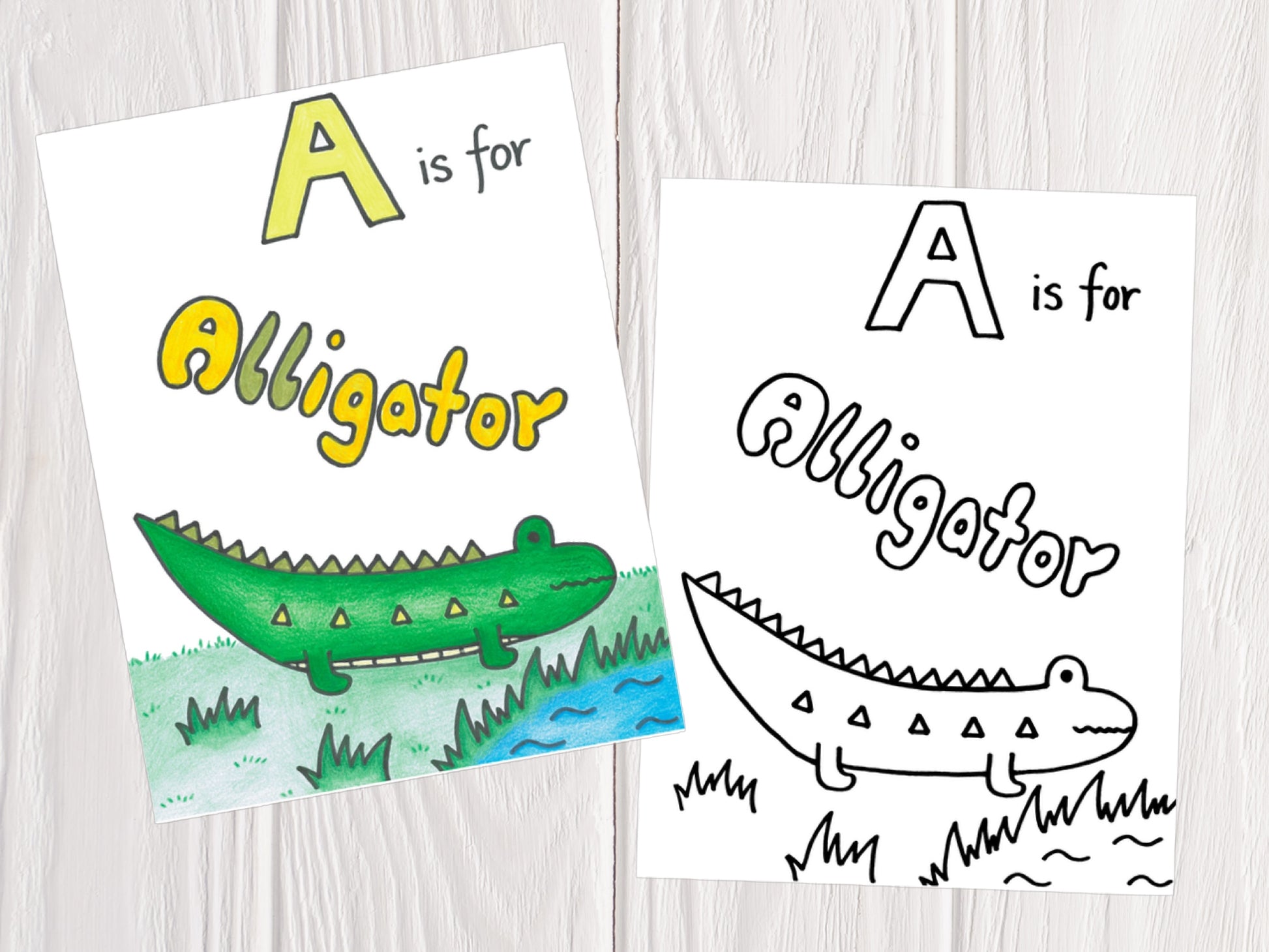 Drawing of an alligator. A is for alligator.